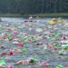 Triathletes swimming in open water 
