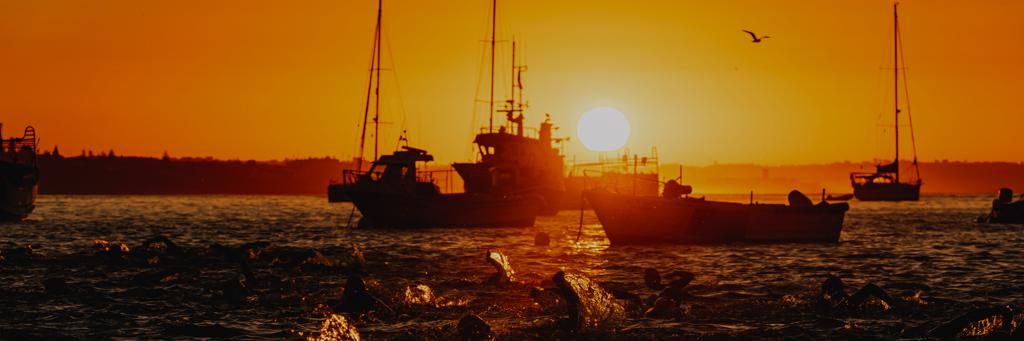 Sea and Boats in the Orange Light of the Sunrise at the IRONMAN Portugal Cascais