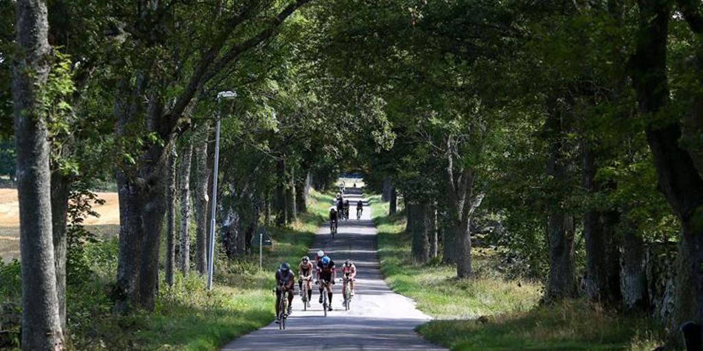 Triathletes biking down a wooded lane