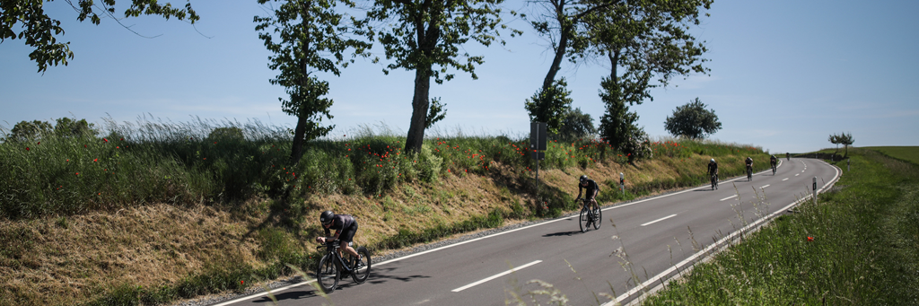 Athletes biking behind each other on a street next to a small avenue of trees and red poppies at 5150 Kraichgau