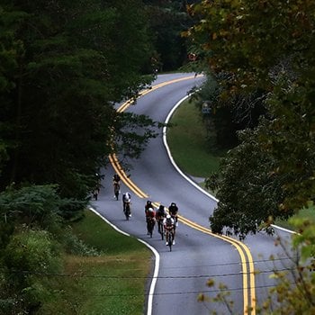 Triathletes biking on tree-lined road IM Chattanooga