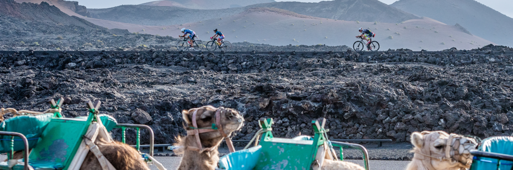 View of camels in the front and three athletes biking through stark landscape at IRONMAN 70.3 Lanzarote